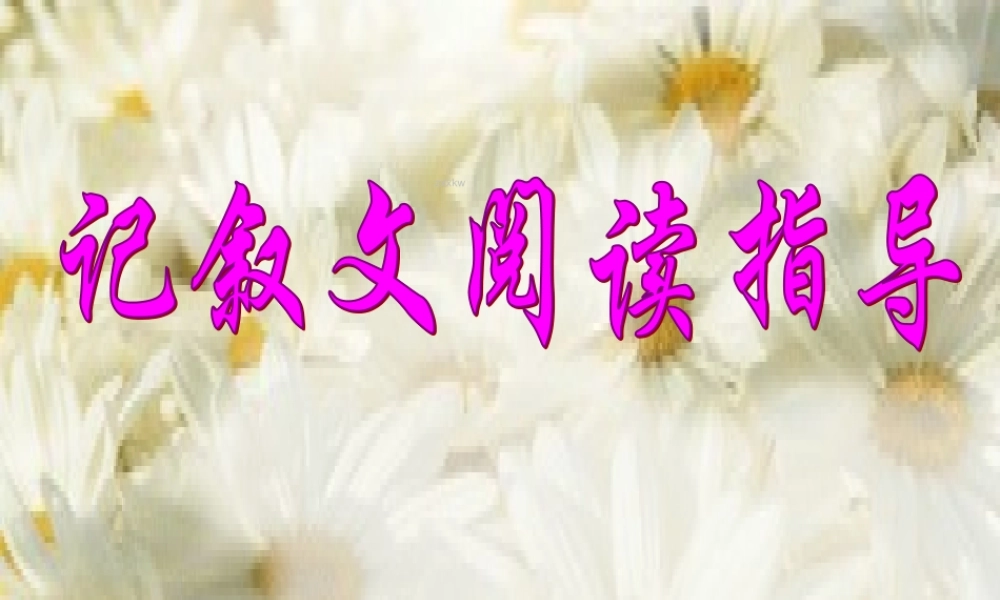 记叙文阅读指导4