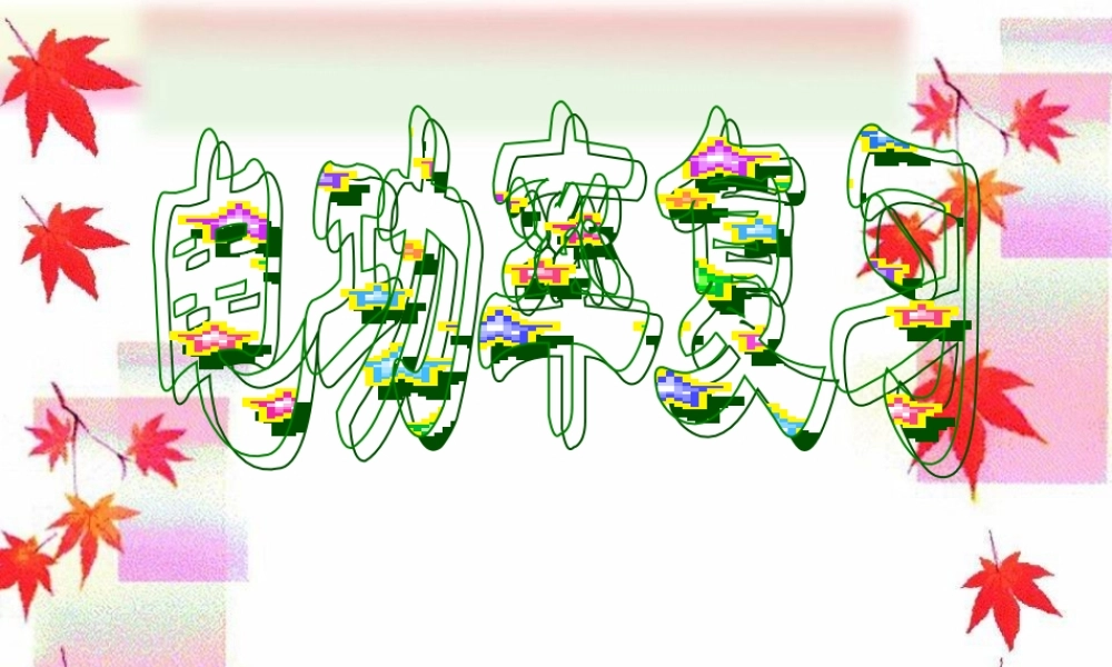 《电功率》复习课件