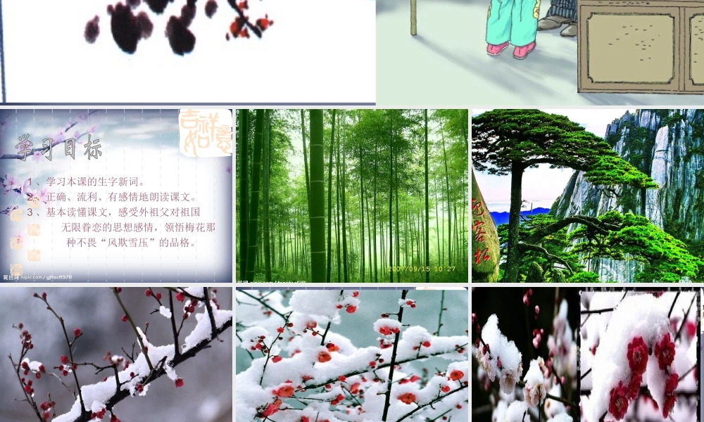 《梅花魂》课件3