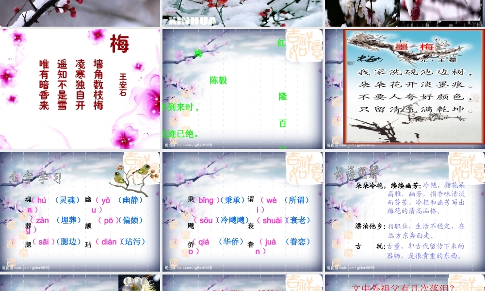 《梅花魂》课件3