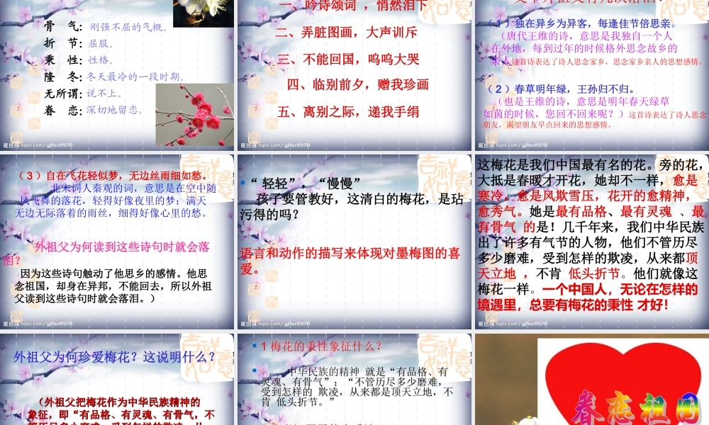 《梅花魂》课件3
