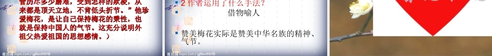 《梅花魂》课件3