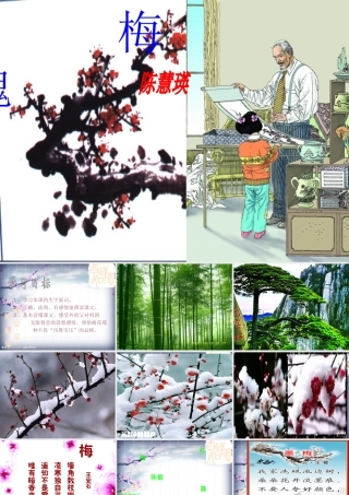 《梅花魂》课件3