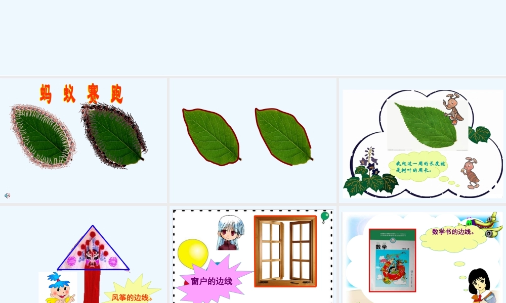小学数学北师大2011课标版三年级什么是周长-(5)