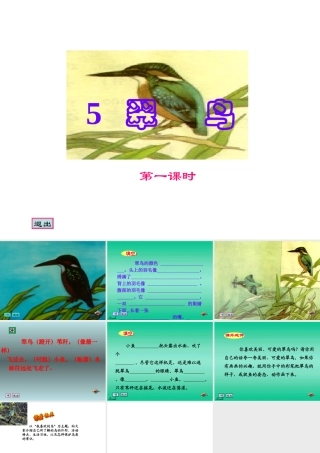 821翠鸟课件