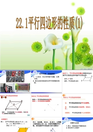 22.1平行四边形的性质1