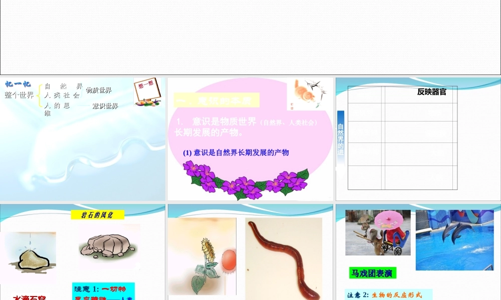 意识的本质PPT课件-修改要讲-62635