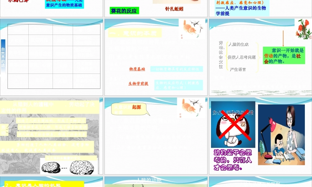 意识的本质PPT课件-修改要讲-62635