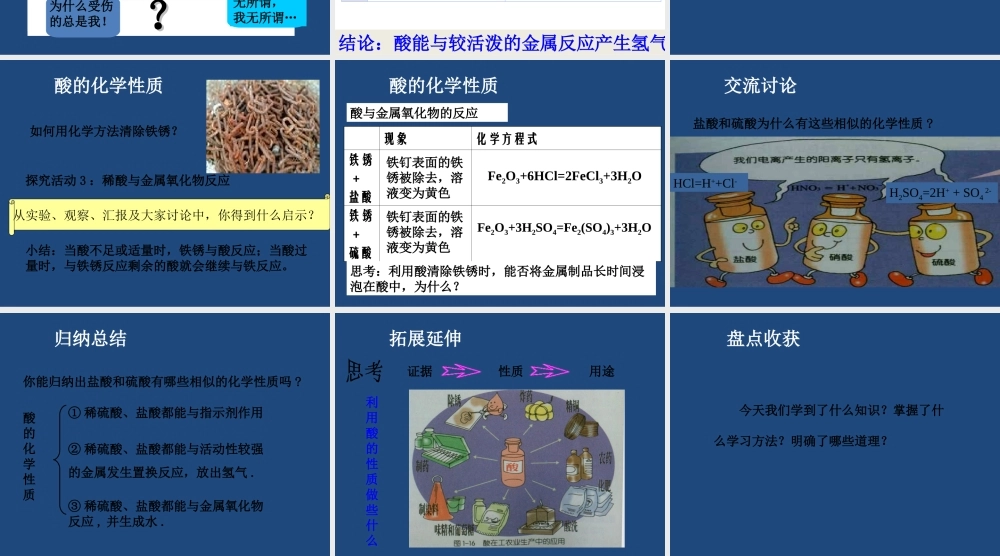 《常见的酸和碱》教学课件(第3课时)