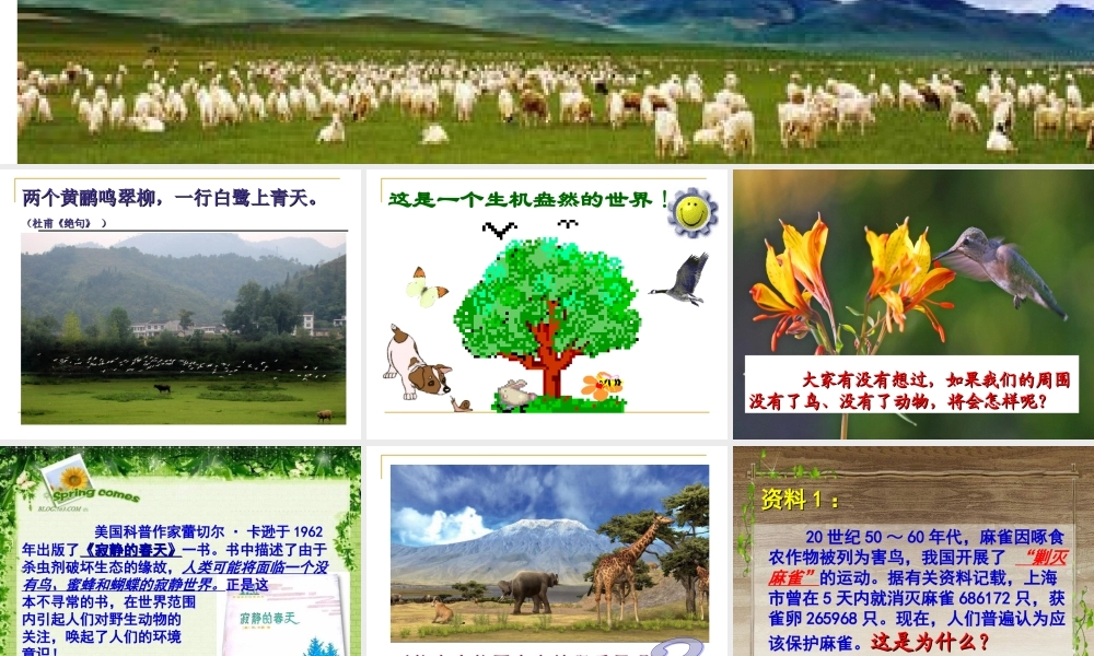 动物在自然界中的作用