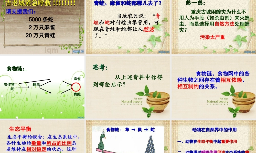 动物在自然界中的作用