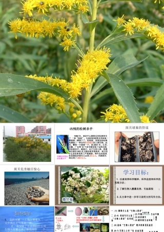 《生物入侵者》2——李彬