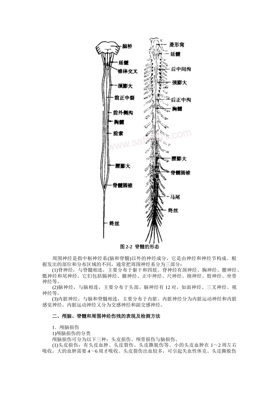 道路交通事故技术鉴定与理赔_第2页