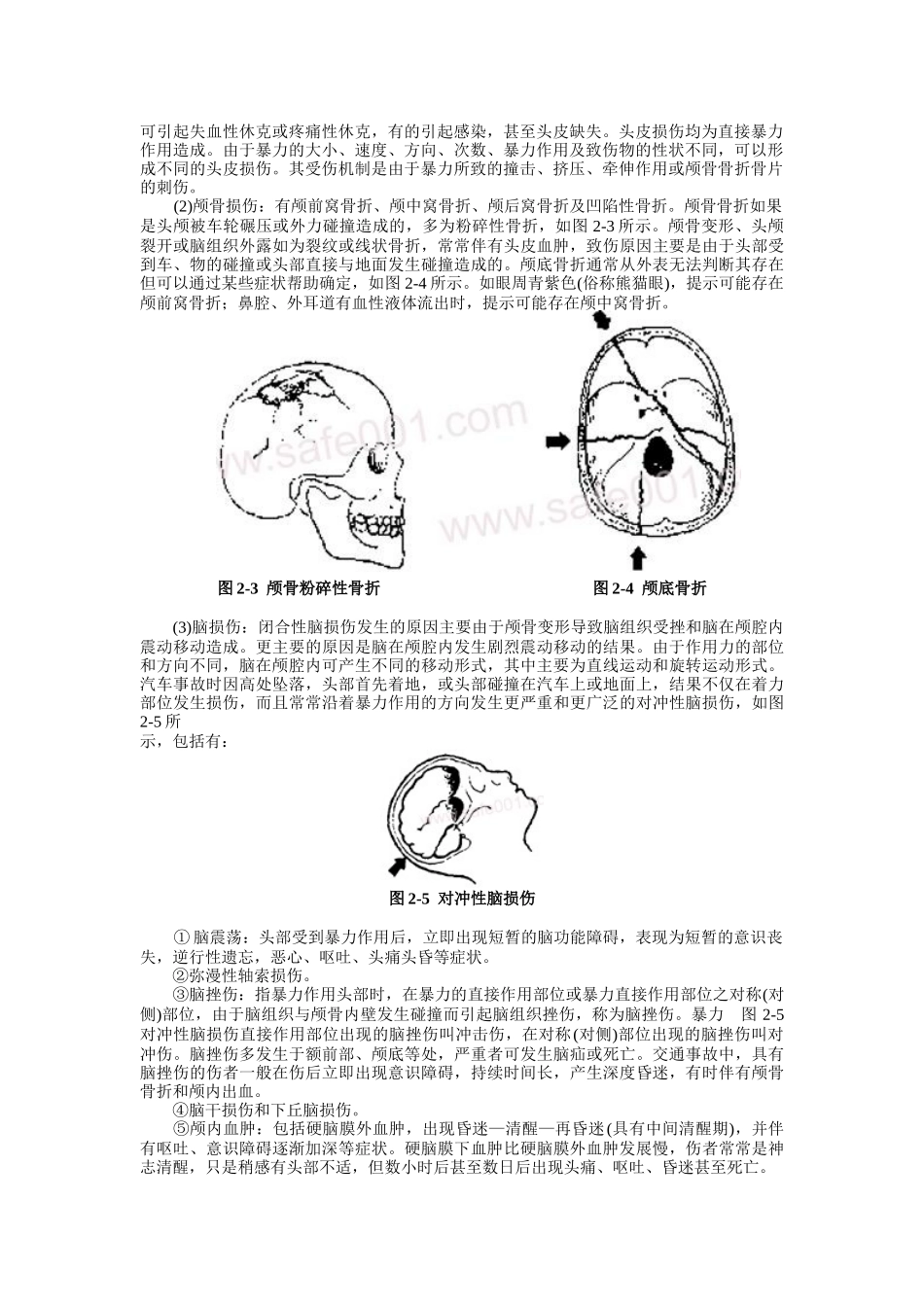 道路交通事故技术鉴定与理赔_第3页