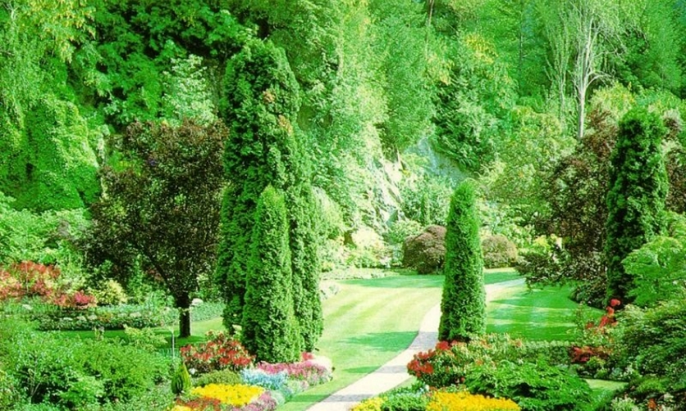 《美丽的小路》好的[1]