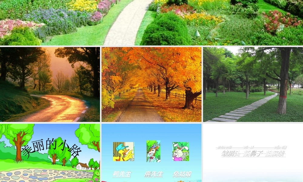 《美丽的小路》好的[1]