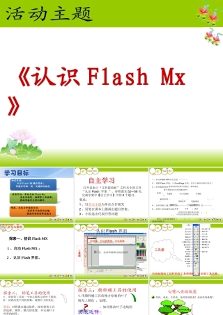 初识flash-mx1