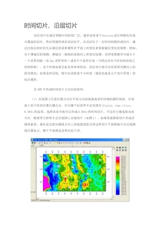 SMT时间切片、沿层切片