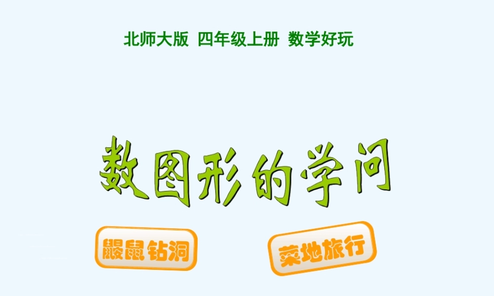 小学数学北师大2011课标版四年级数图形中的学问