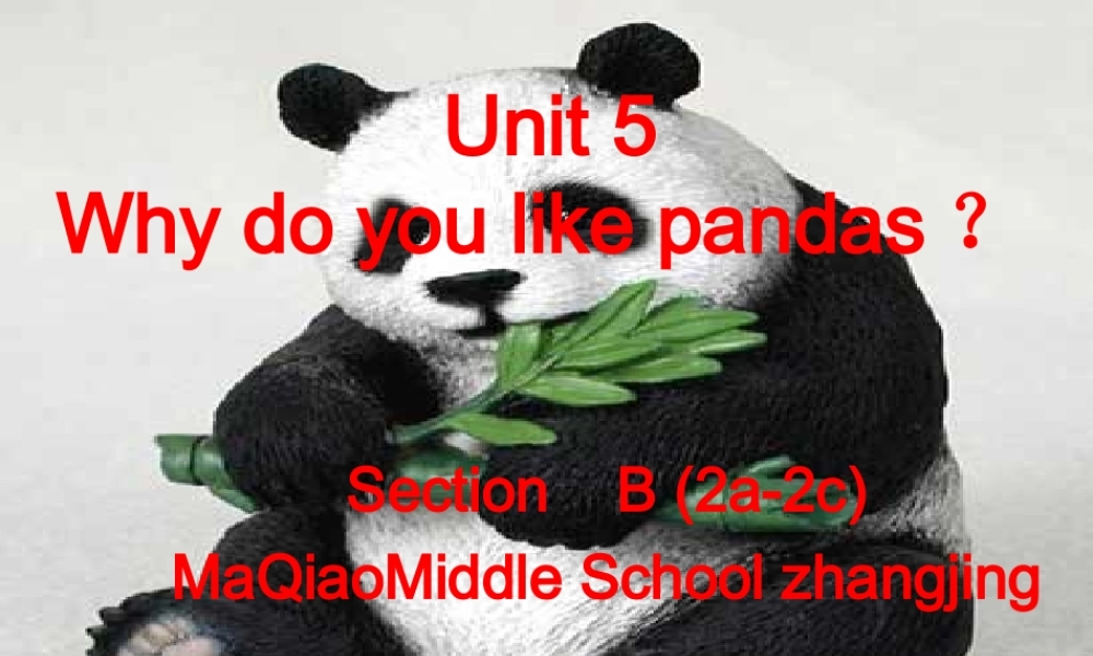 5课时unit-5-Why-do-you-like-pandas-section-B好-副本2