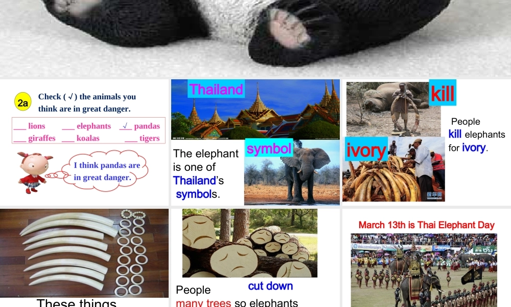 5课时unit-5-Why-do-you-like-pandas-section-B好-副本2