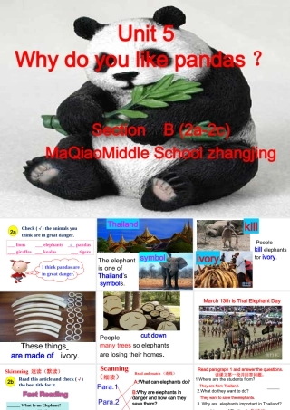 5课时unit-5-Why-do-you-like-pandas-section-B好-副本2