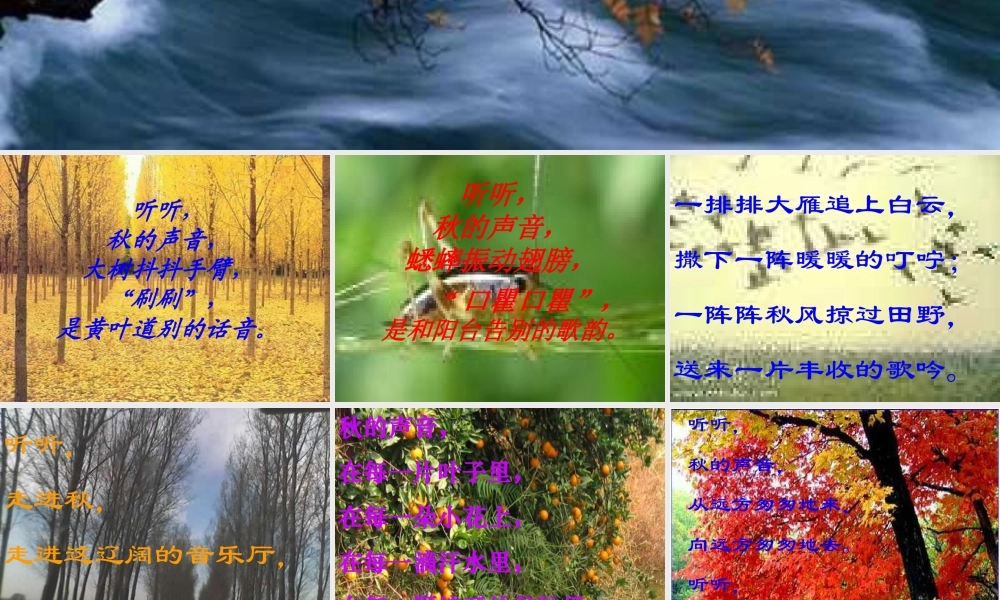 《听听-秋的声音》