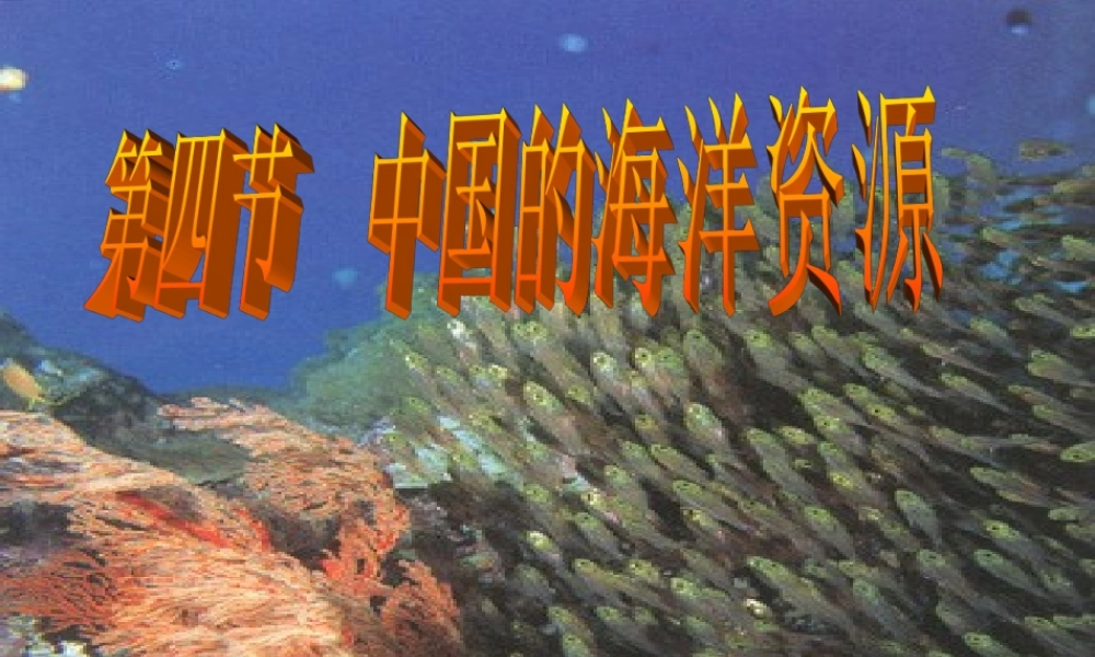 3.4中国的海洋资源1