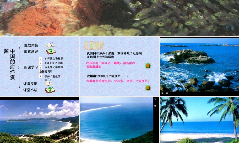 3.4中国的海洋资源1