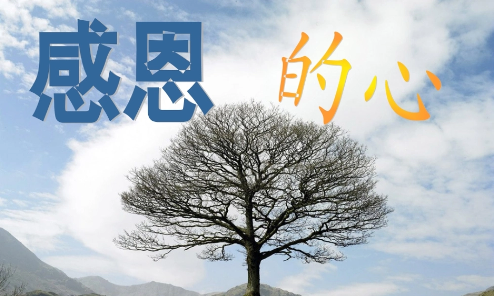 感恩父母老师班会课件