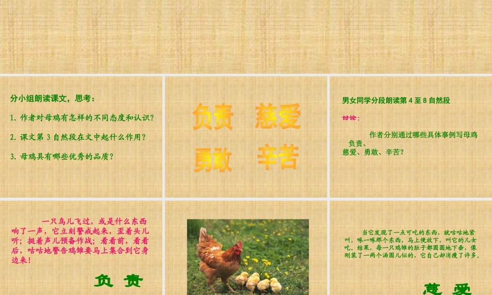 《母鸡》课件(沪教版五年级语文上册课件)