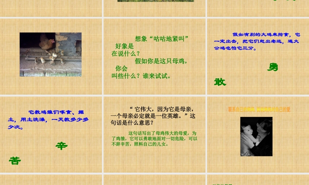 《母鸡》课件(沪教版五年级语文上册课件)
