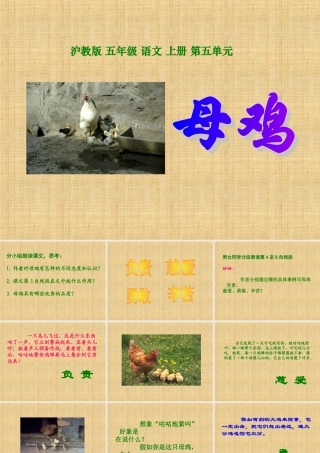 《母鸡》课件(沪教版五年级语文上册课件)