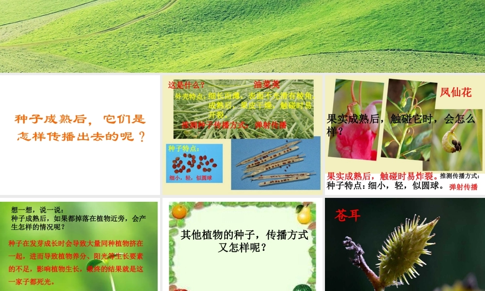 小学科学四年级下册《把种子散播到远处》ppt