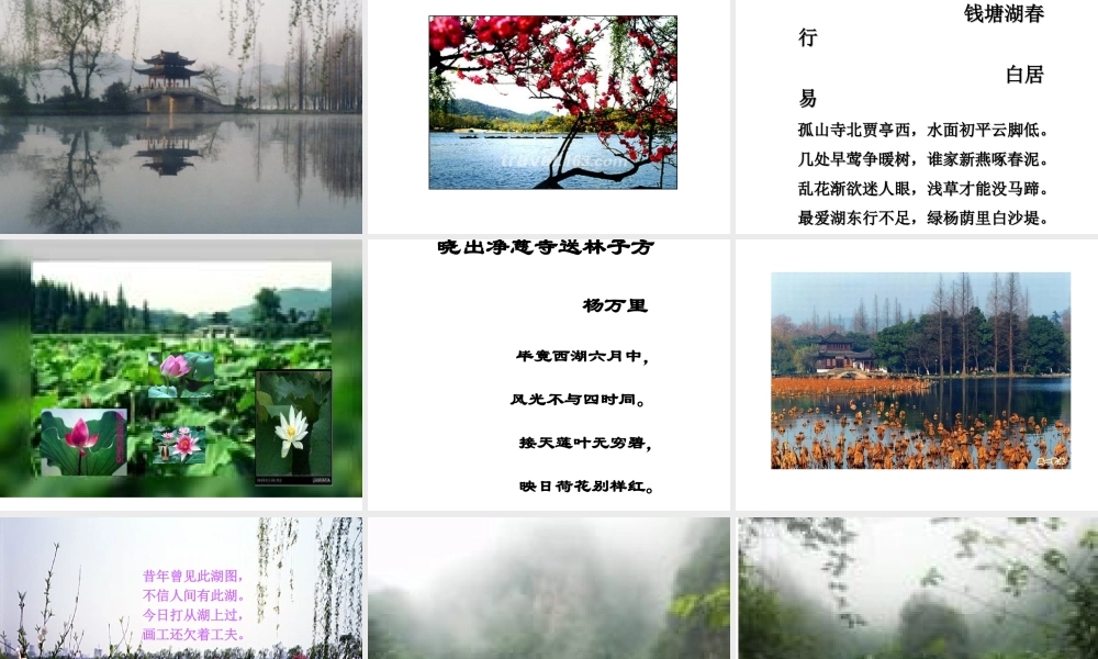 《湖心亭看雪》