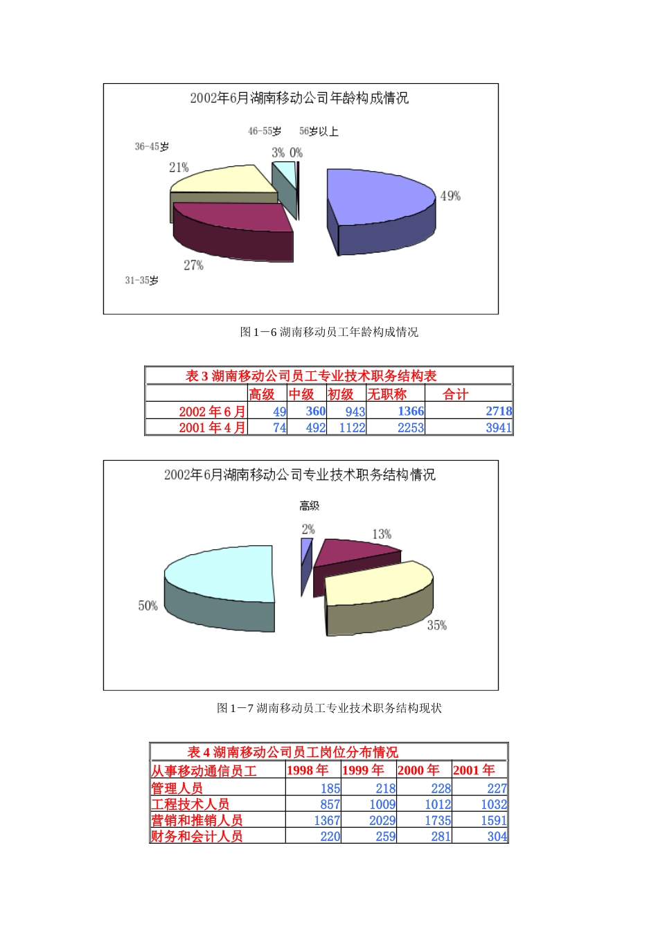 湖南移动通信人力资源现状与分析_第2页
