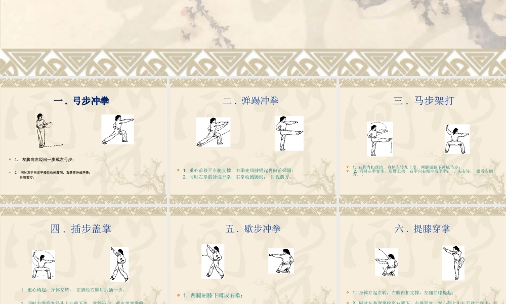 武术基本功初学套路五步拳图文规范教程