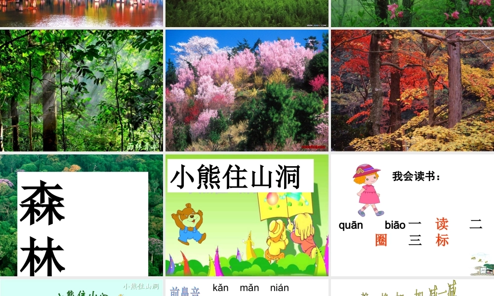 《小熊住山洞》