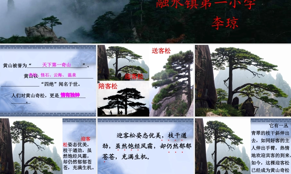 黄山奇松-(2)