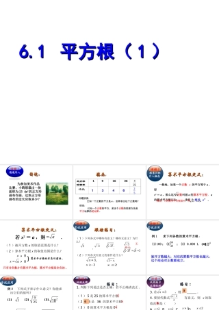 6.1平方根1.1-平方根-(1)