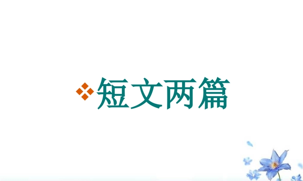 《短文两篇·黄鹤楼·于园》11