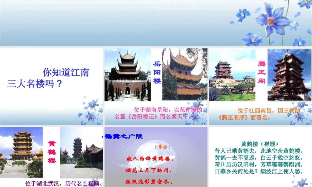 《短文两篇·黄鹤楼·于园》11