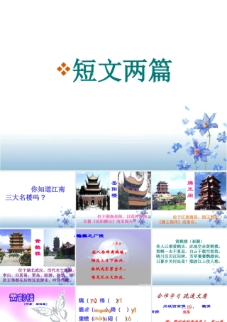 《短文两篇·黄鹤楼·于园》11