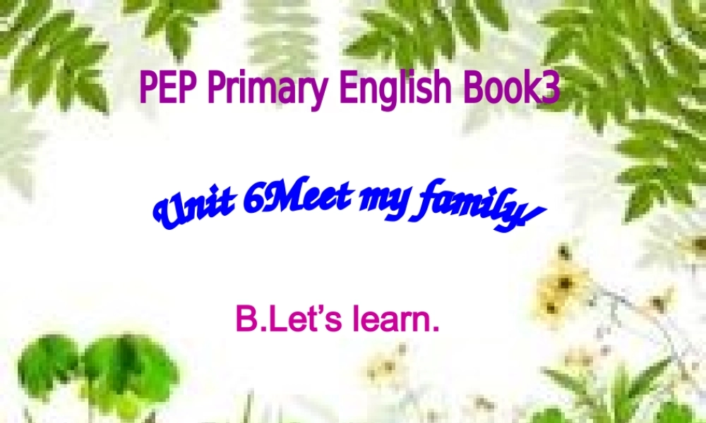 unit-6-Meet-my-family!课件