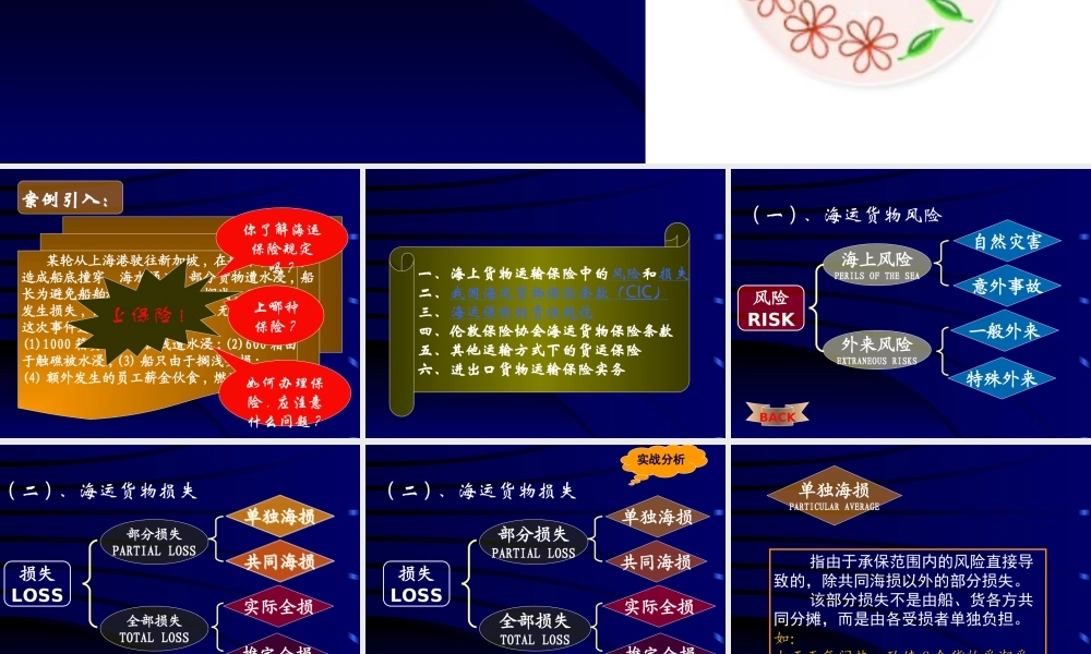 国际货物运输保险.PPT