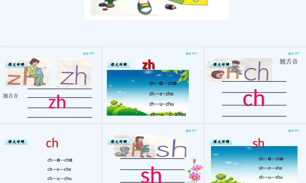 (部编)人教2011课标版一年级上册8-zh-ch-sh-r