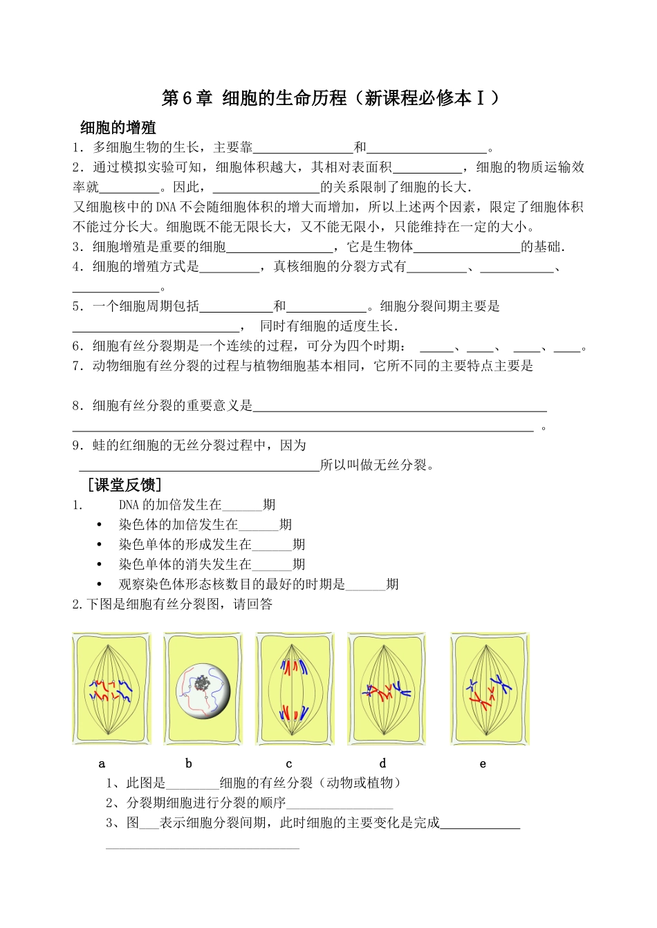 生物 细胞的生命历程 试题 必修1_第1页