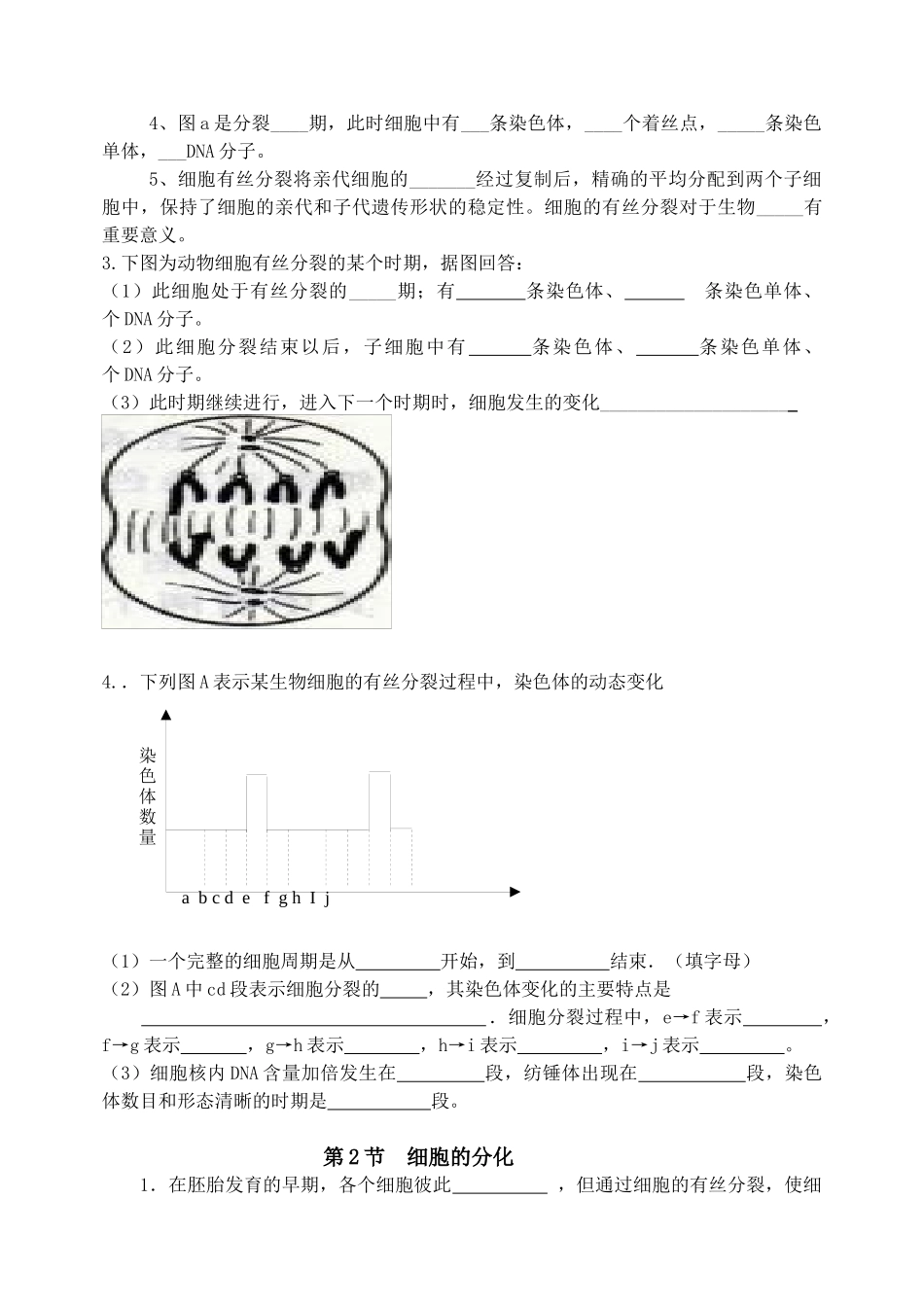 生物 细胞的生命历程 试题 必修1_第2页