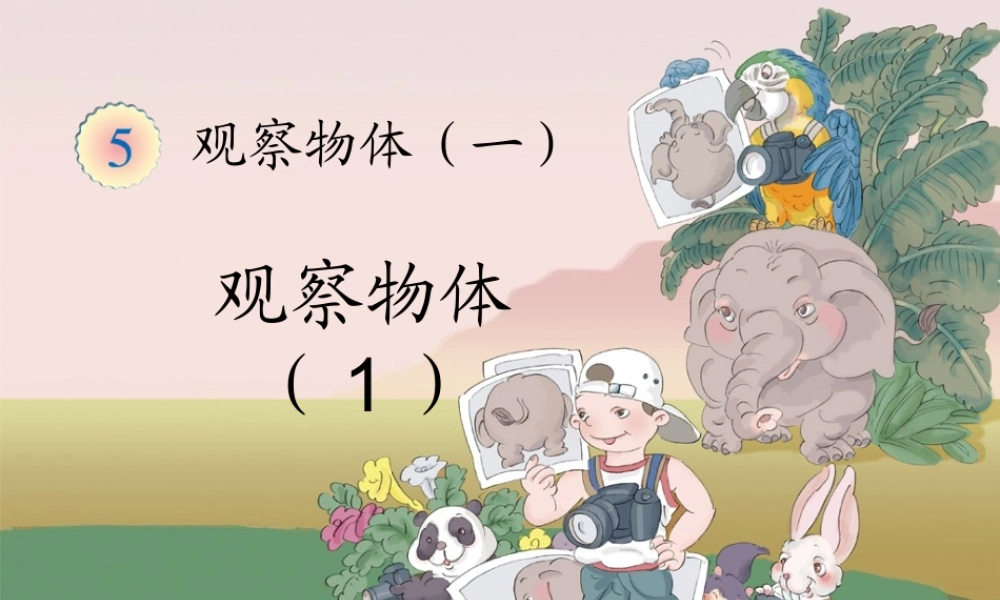 观察物体--例1