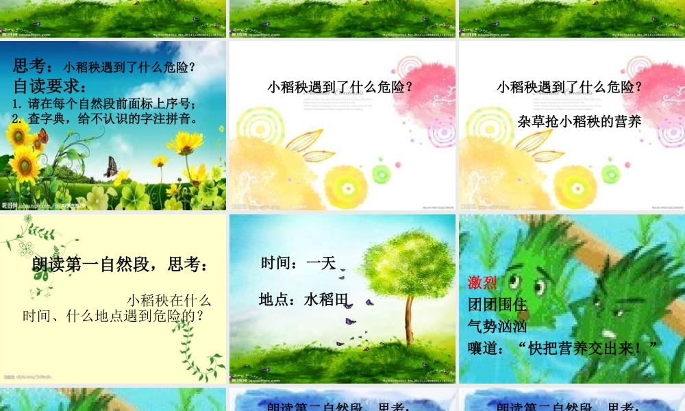 苏教版三年级上册语文《小稻秧脱险记》公开课课件PPT